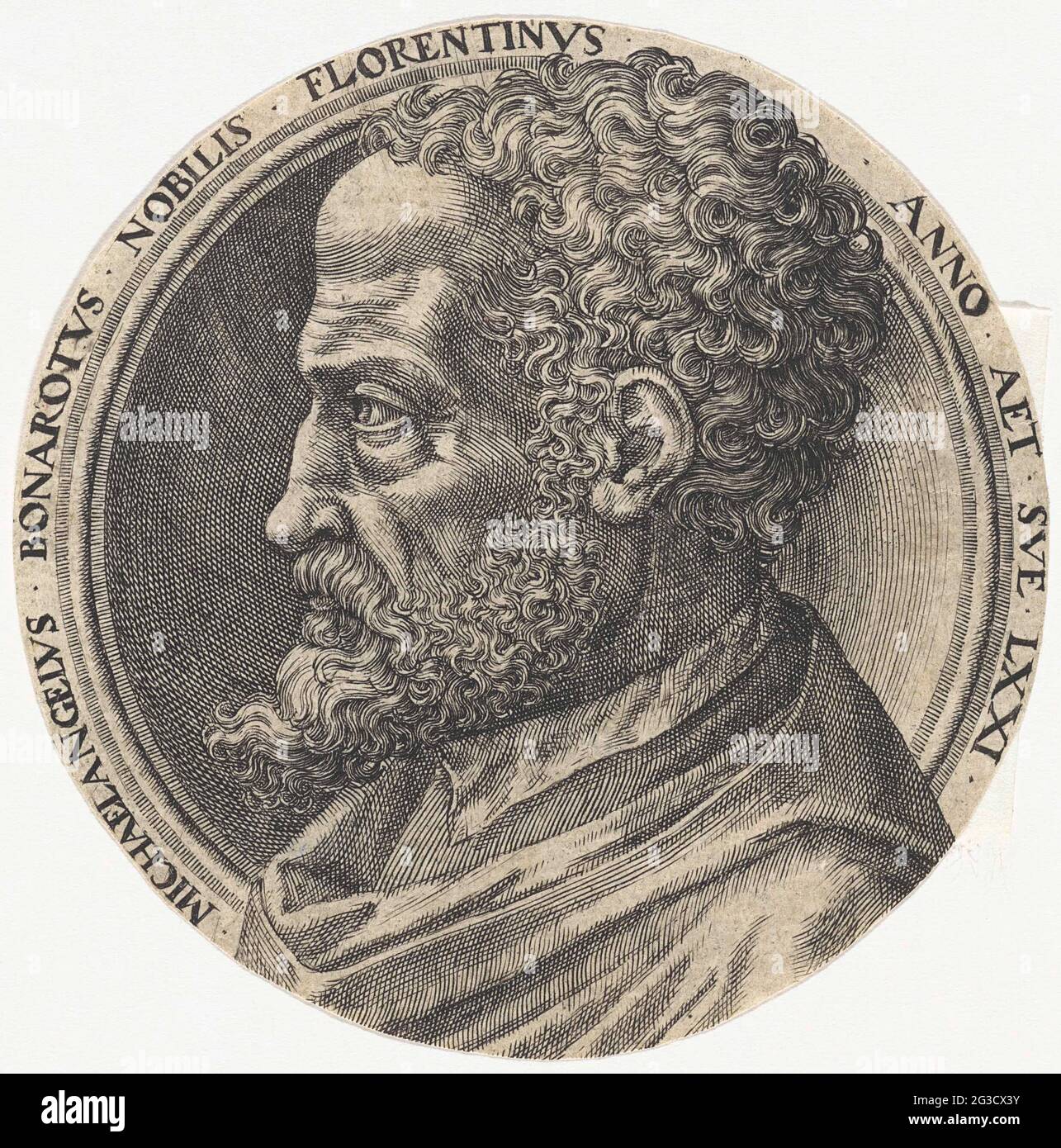 Portrait of the artist Michelangelo, at the age of 71 Stock Photo - Alamy