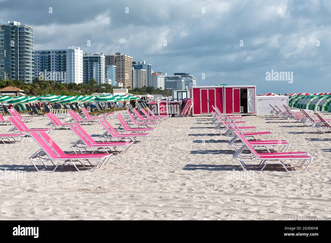 Chaise lounges in Miami, USA. Pink chaise lounges on beach in row
