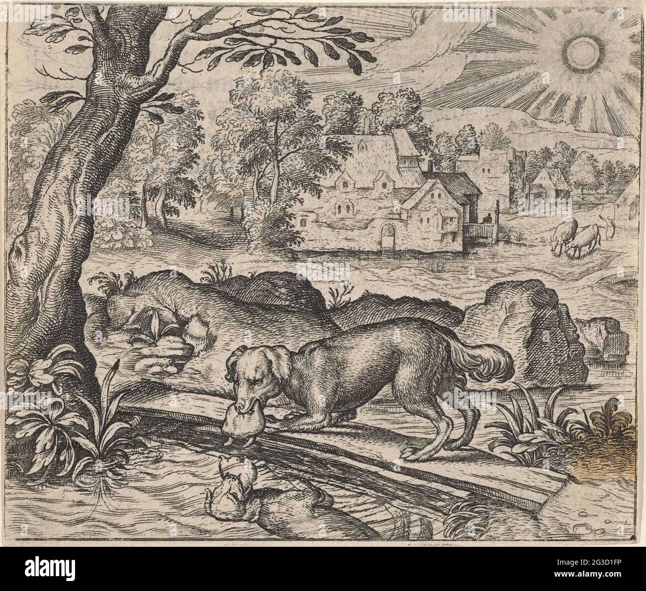 Do Dogs Know Their Own Reflection