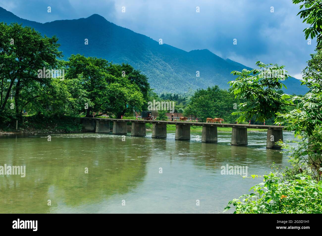 The countryside scenery with a bridge in the summer Stock Photo - Alamy