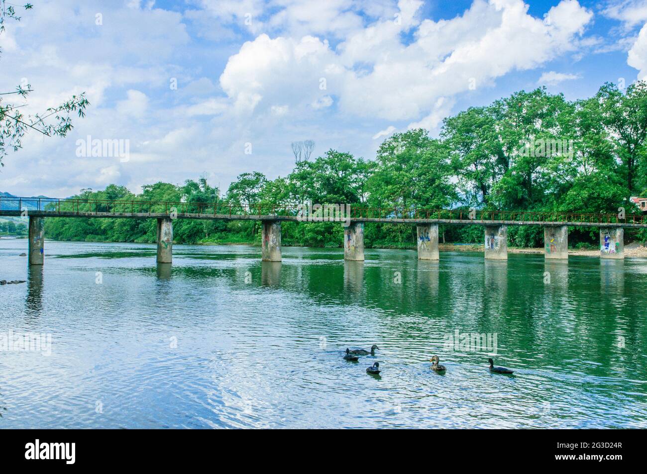 The countryside scenery with a bridge in the summer Stock Photo - Alamy