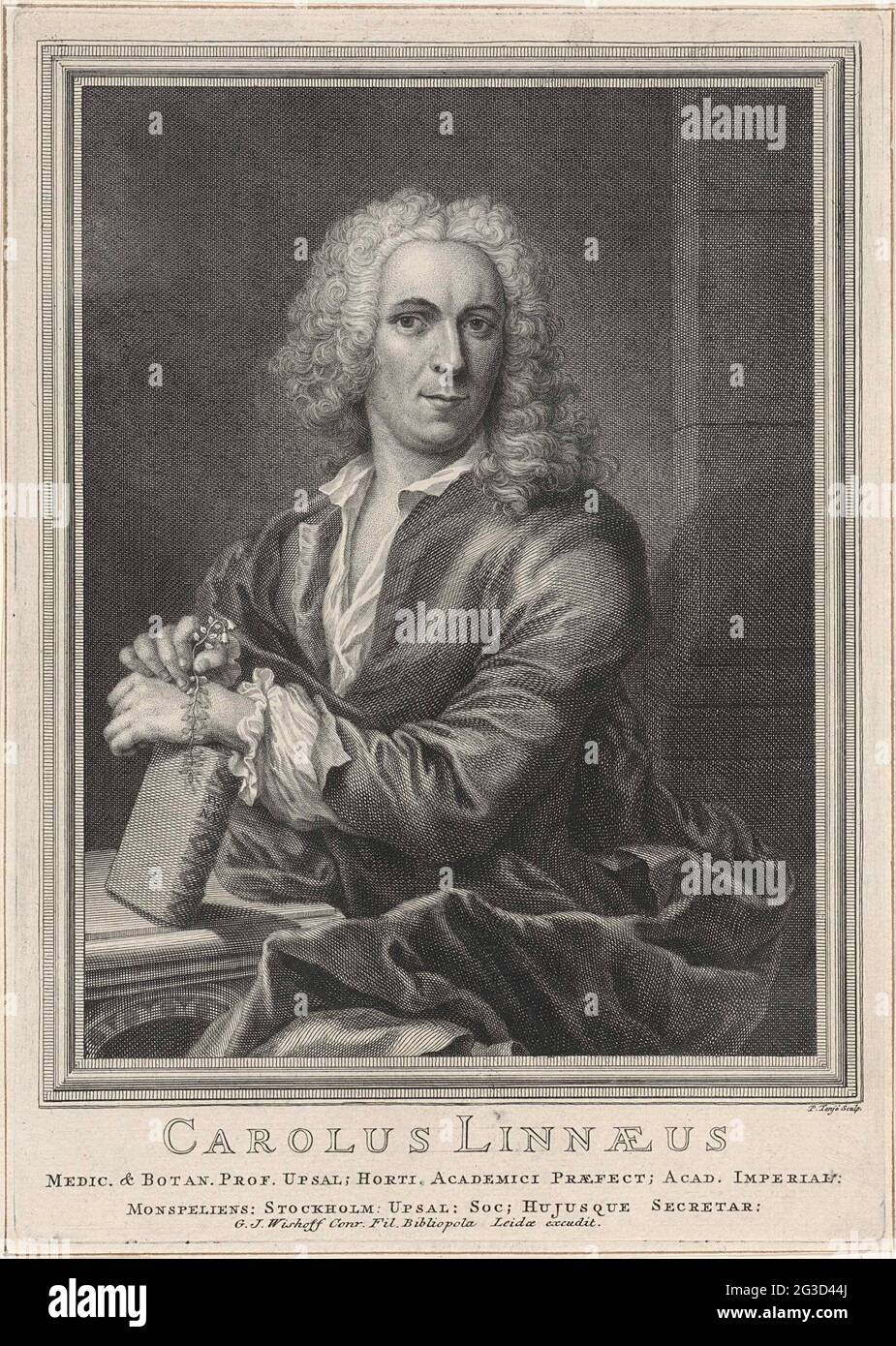 Portrait of Carolus Linnaeus. Portrait of Botanicus Carolus Linnaeus, his hands resting on his book Systema Naturae. Stock Photo