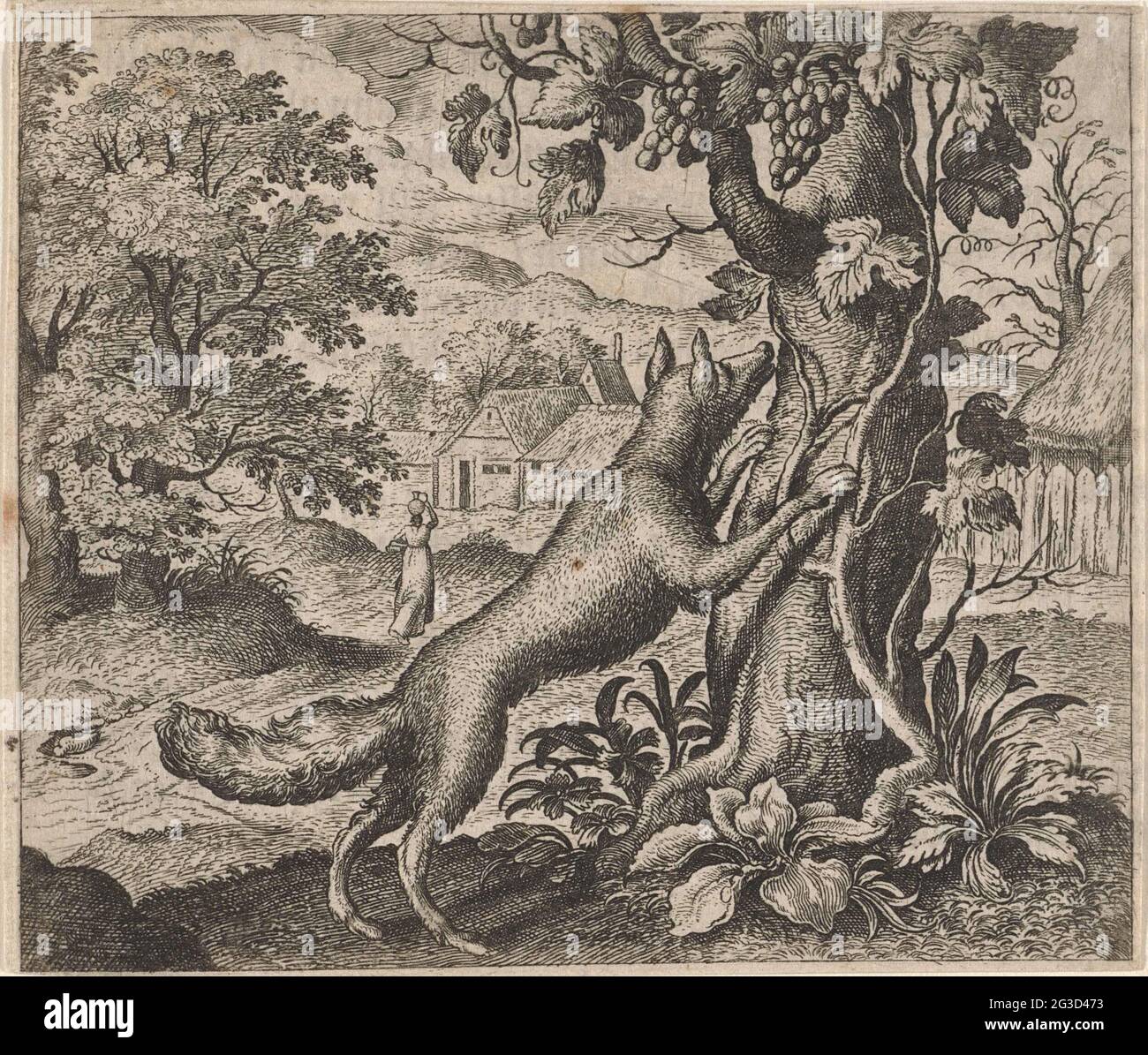 Fox and the grapes moral hires stock photography and images Alamy