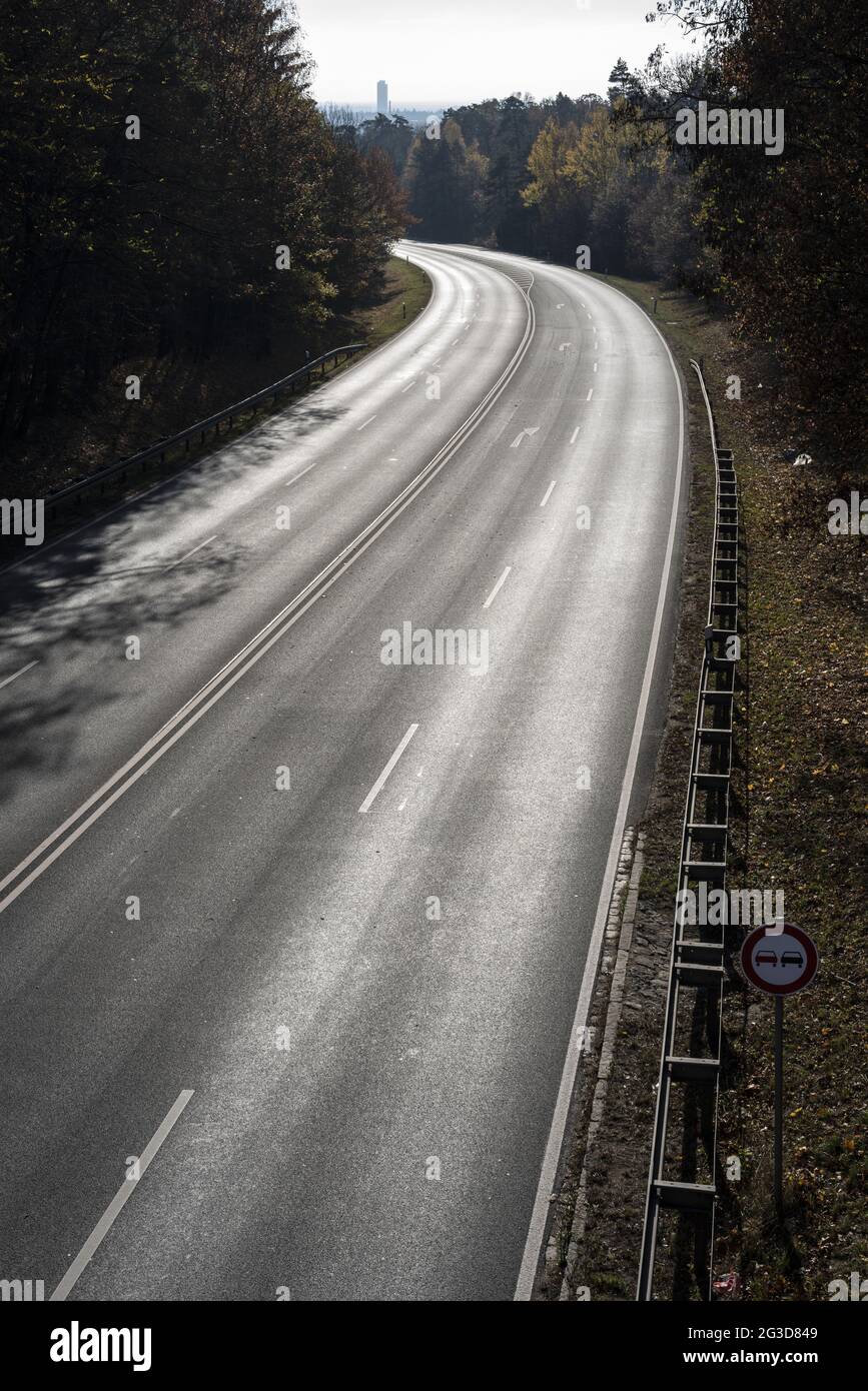 New forest grey hi-res stock photography and images - Alamy