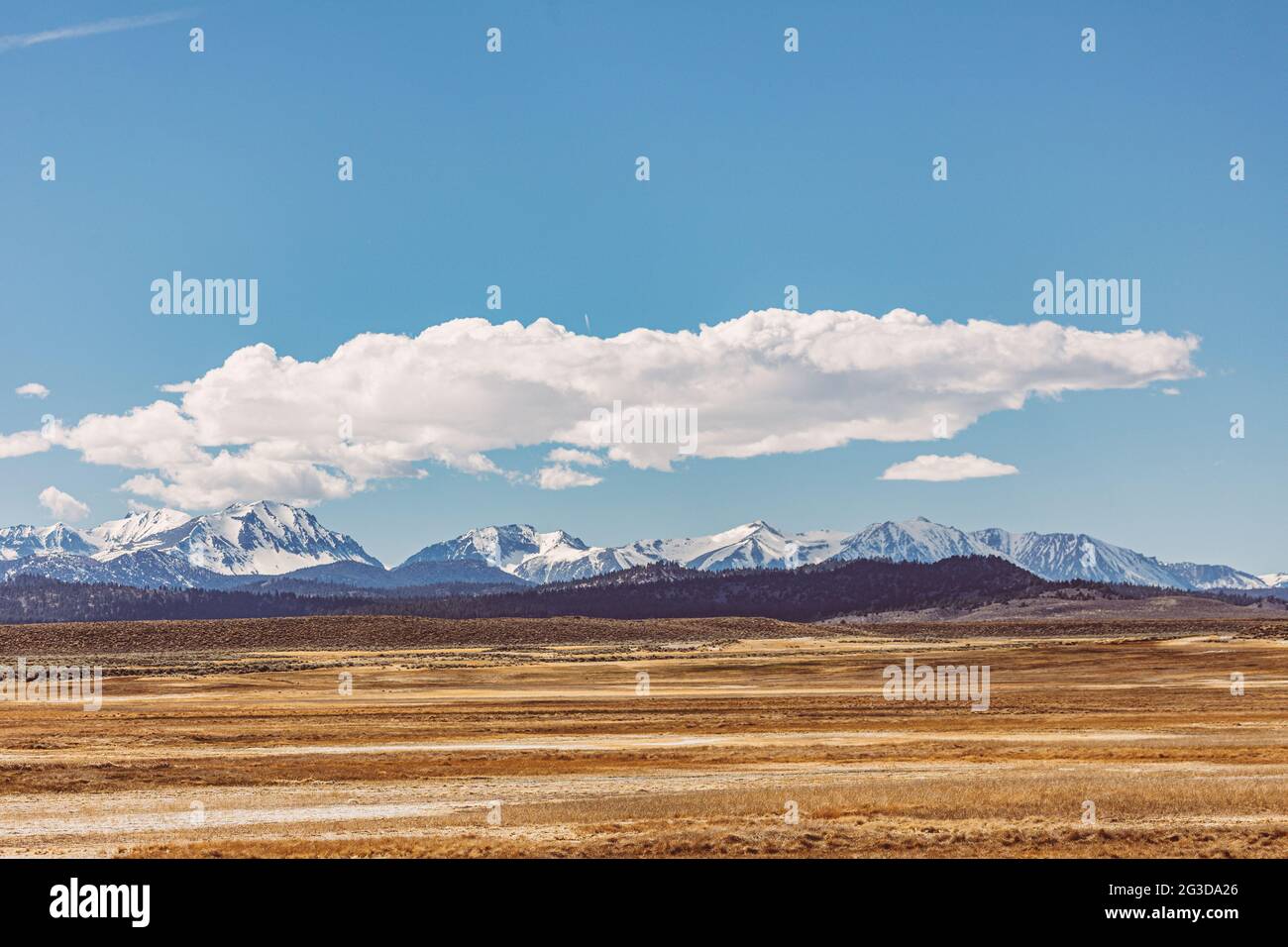 Arid plains against Sierra Nevada Mountains and clear blue sky  Stock Photo