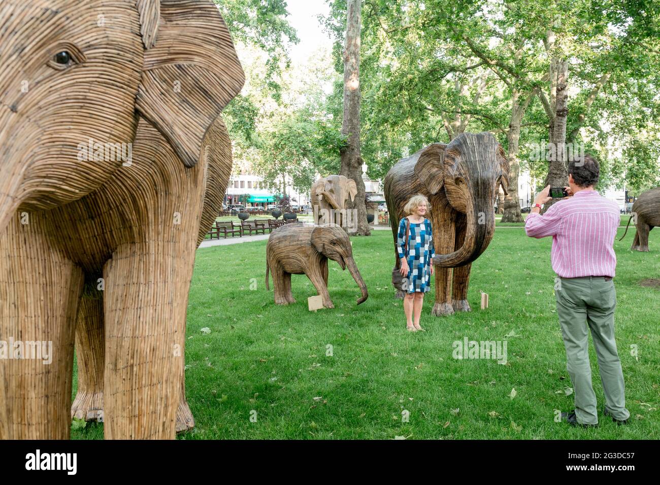 People taking photos with Lantana elephant sculptures placed in Berkeley Square in London.CoExistence is an art installation initiated by Elephant Family and The Real Elephant, consisting of 100 elephant sculptors created by indigenous people. Starting from 14th June 2021 to 23rd July 2021, the herd will be exhibited across various locations in central London, namely Green Park, St. James' Park and Berkeley Square. The movement aims to raise funds for Elephant Family in its cause of protecting wildlife from human destruction. (Photo by Belinda Jiao/SOPA Images/Sipa USA) Stock Photo