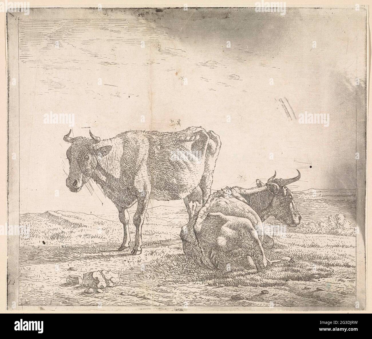 Pasture with a standing and lying cow Stock Photo - Alamy