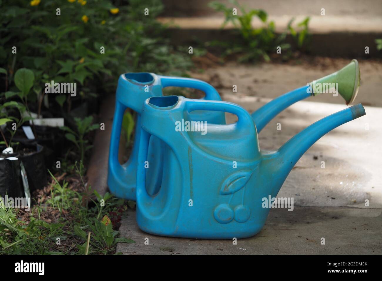 Watering cans in the garden. Gardening Tools. Stock Photo