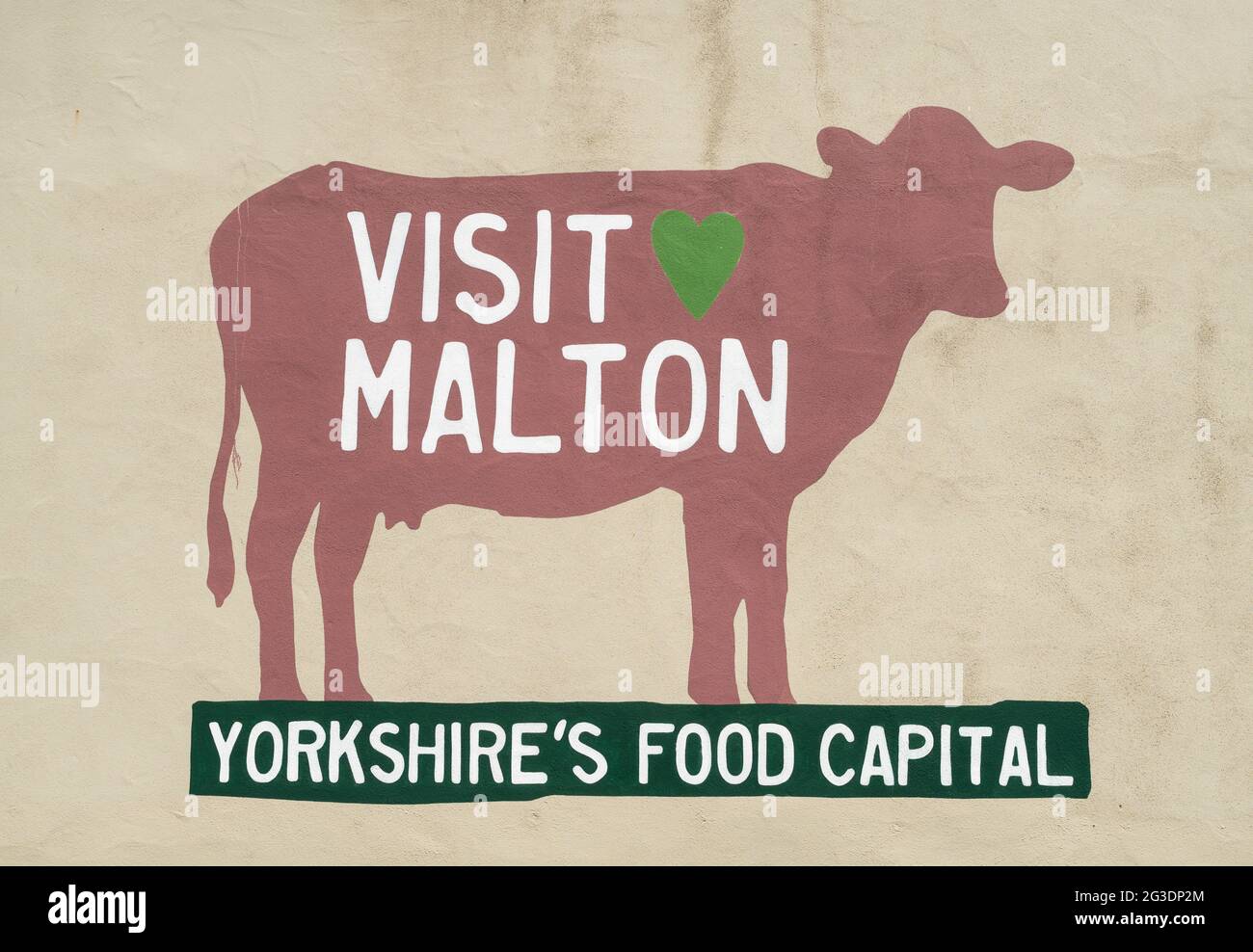 Cow mural, Visit Malton, Yorkshires Food Capital in North Yorkshire, England, UK Stock Photo
