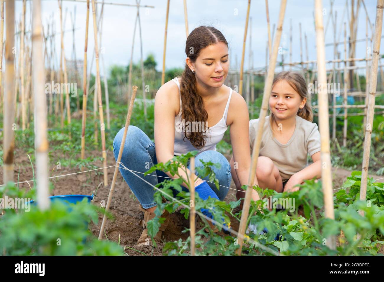 Woman gardener and little girl planting seedlings at a garden Stock Photo