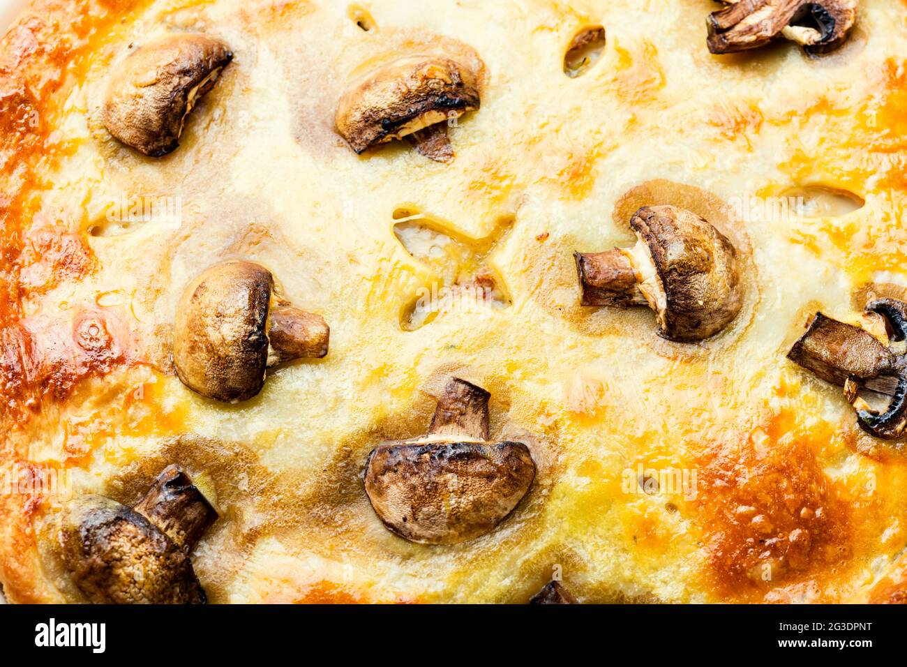 Beef and mushroom pie hi-res stock photography and images - Alamy