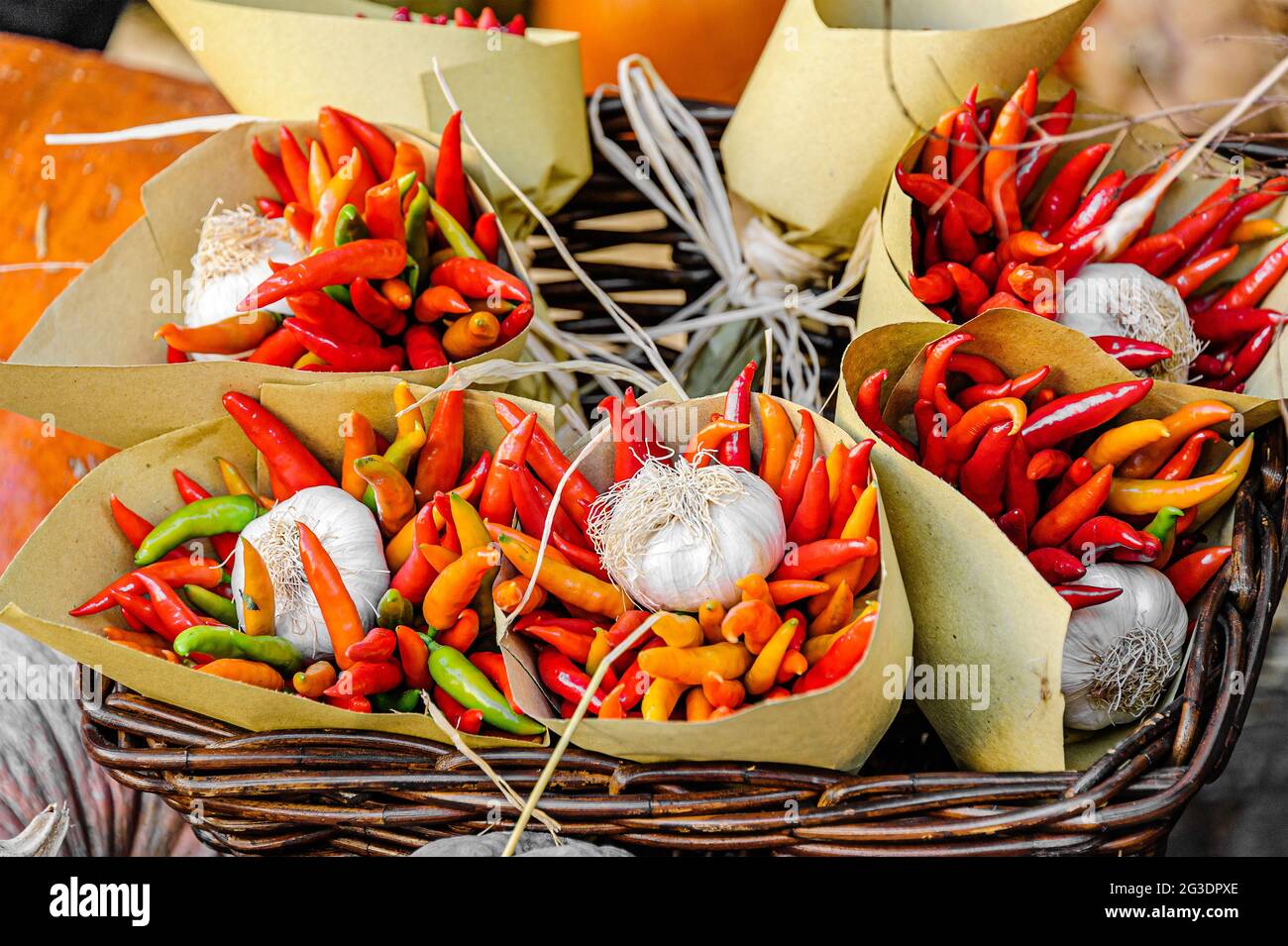 Bunches of colorful chili peppers with a garlic bulb in brown paper wrapping, inside a rattan basket. Stock Photo
