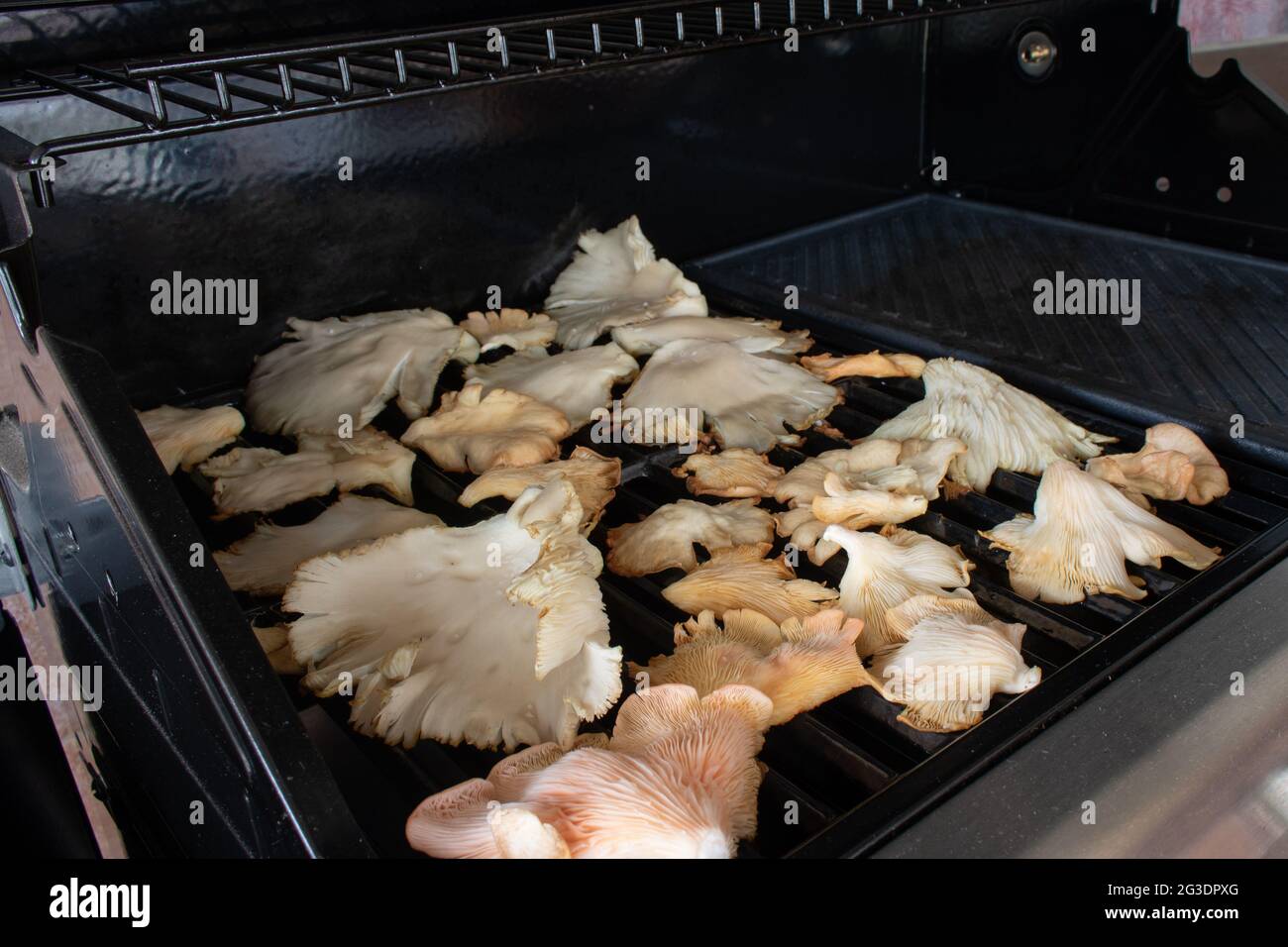Oyster mushrooms on a grill. Vegan barbecue Stock Photo