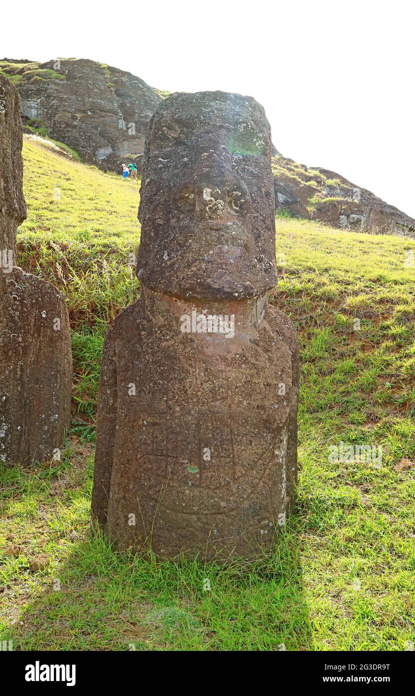 One of abandoned huge Moai statues on Rano Raraku volcano, historic