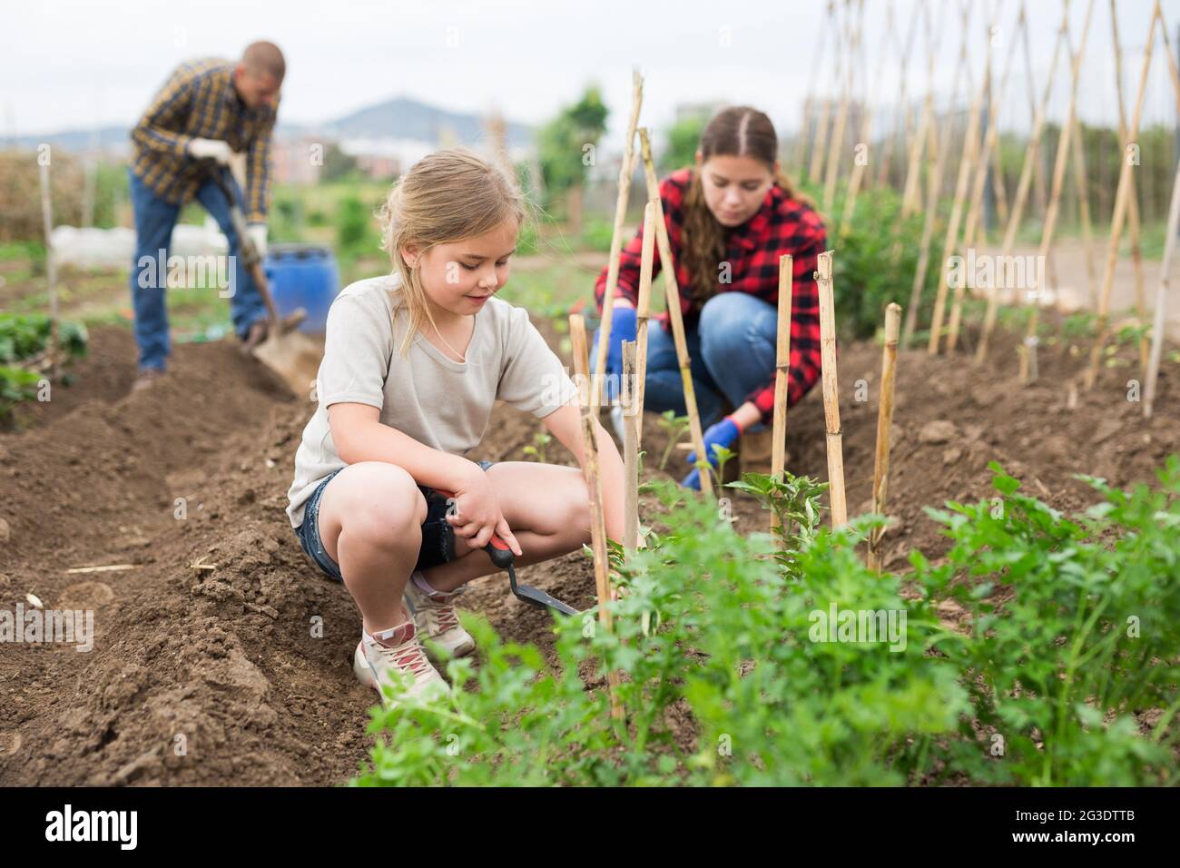 Daughter helps mother clean weeds in farmer garden beds Stock Photo - Alamy