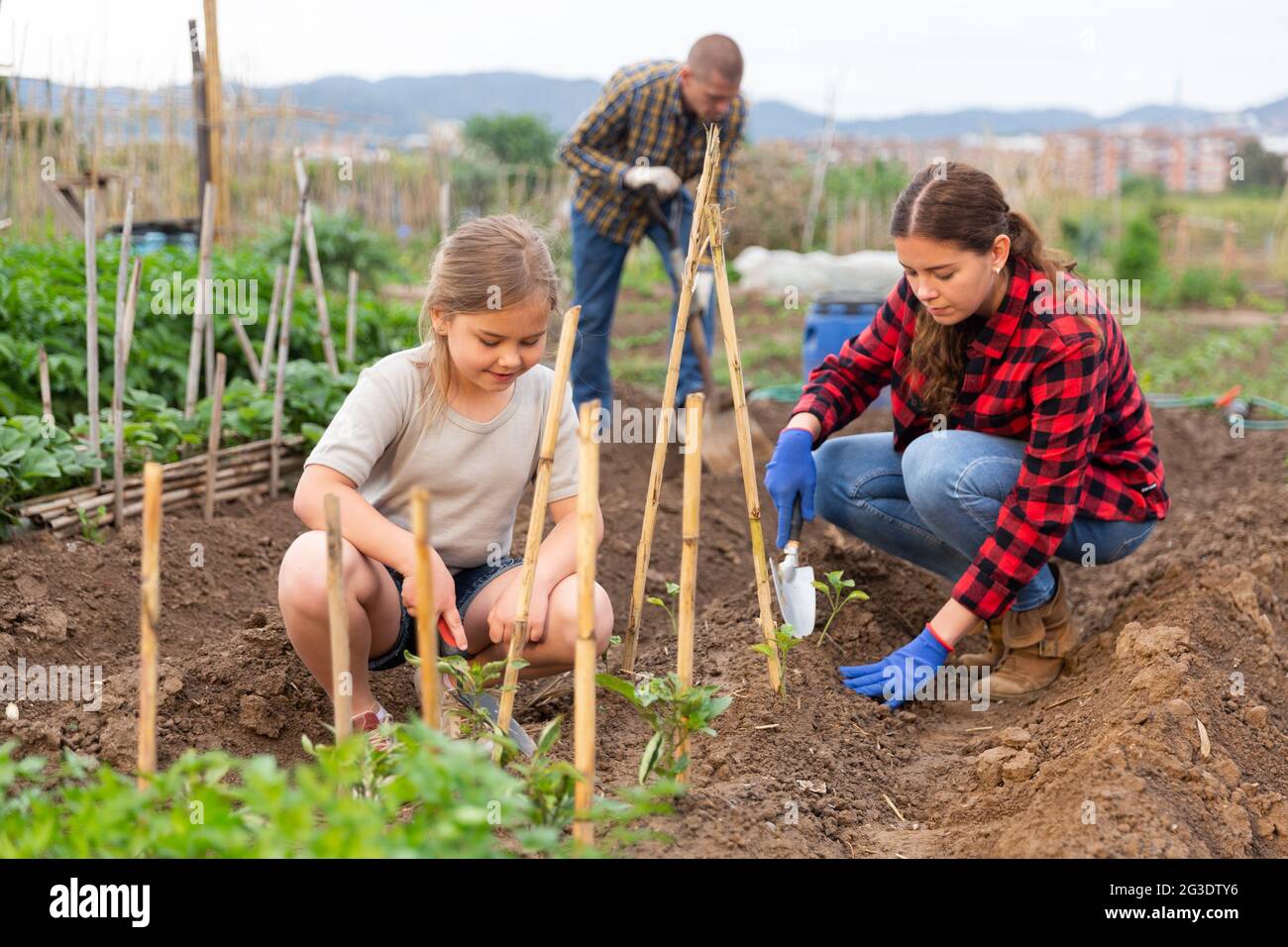 Daughter helps mother clean weeds in farmer garden beds Stock Photo - Alamy