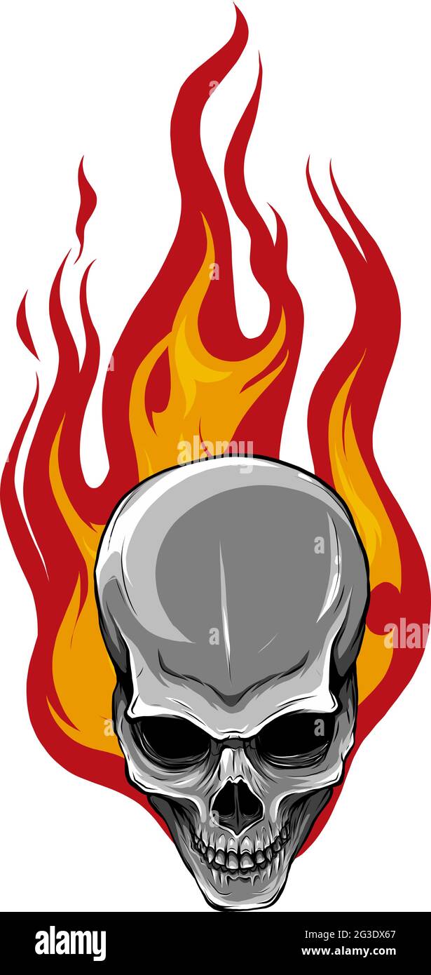Skull on Fire with Flames Vector Stock Vector