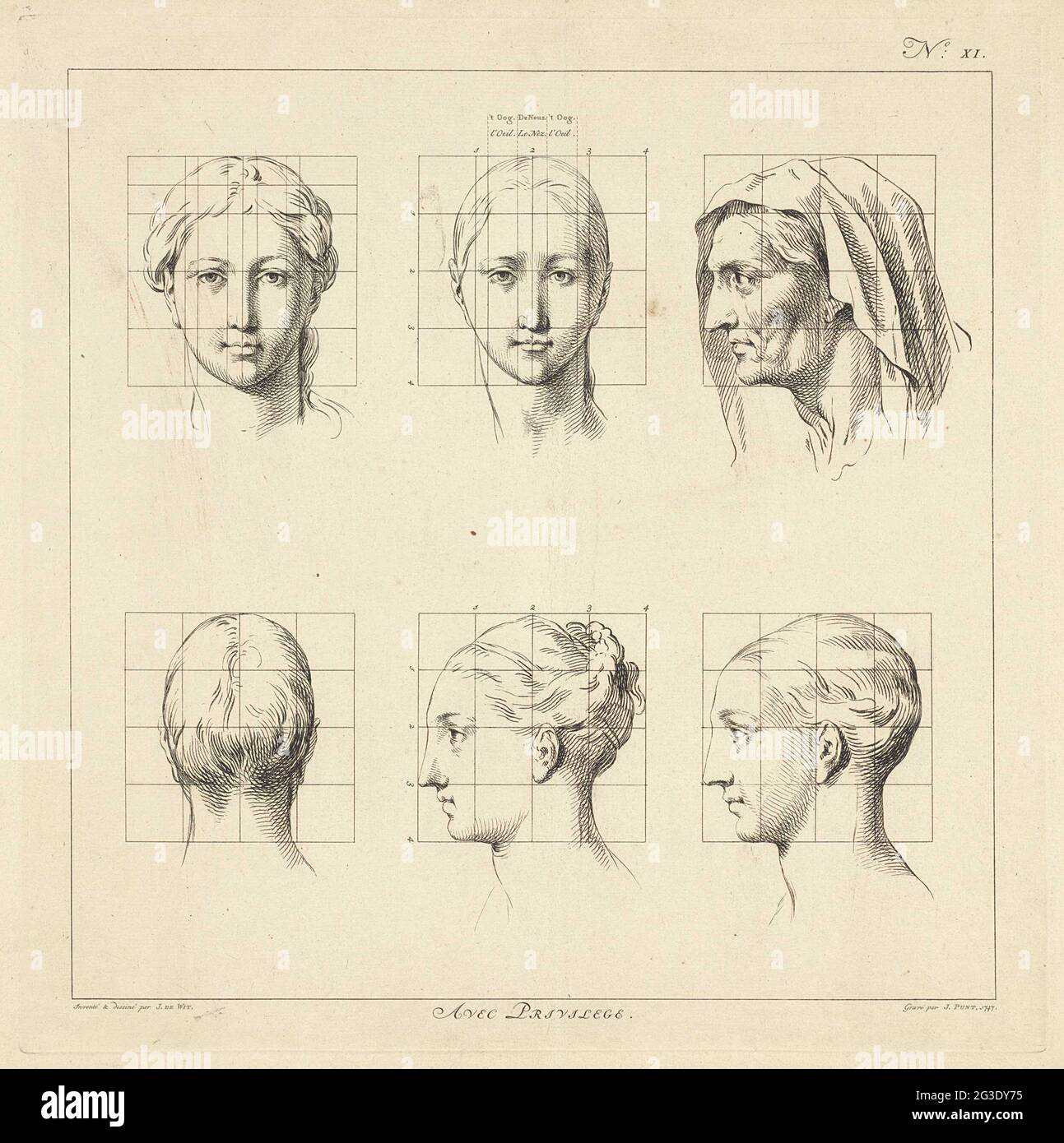Proportion studies of women's heads; County book of the proportions of ...