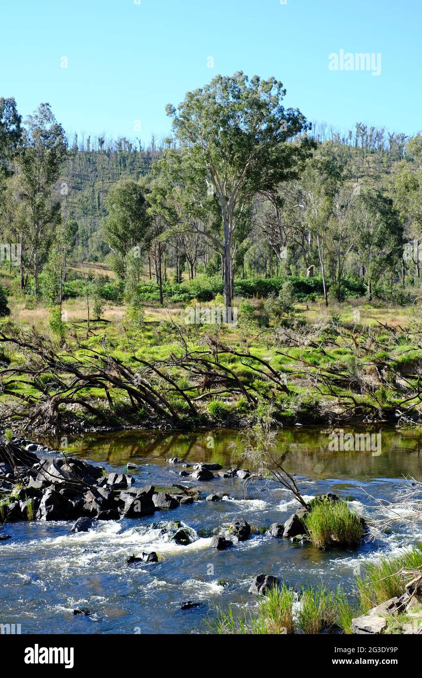 Upper Clarence River, Clarence River Wilderness Lodge, Paddy’s Flat