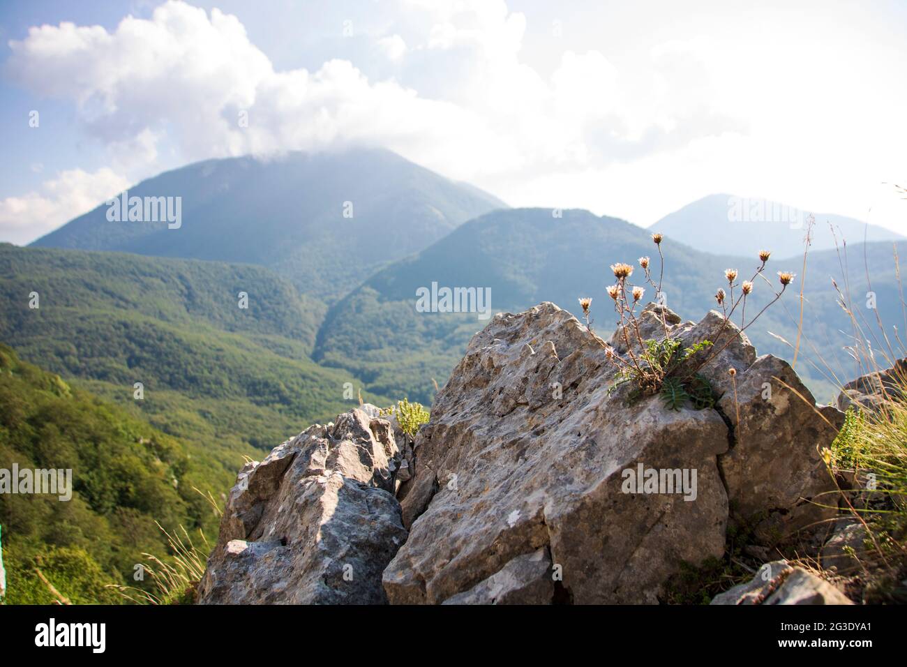 bosco magnano san severino lucano