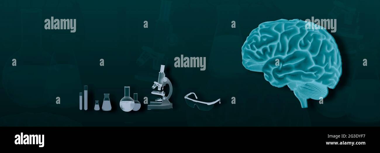 the concept of the brain. laboratory, glasses, microscope, flask, tests ...
