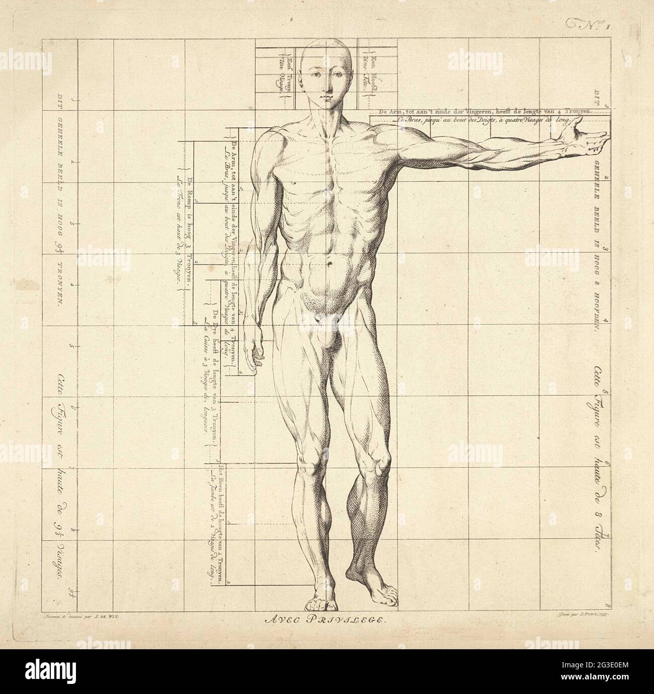 https://c8.alamy.com/comp/2G3E0EM/proportion-studie-from-the-body-of-a-man-county-book-of-the-proportions-of-t-menschelyke-ligham-proportions-du-corps-humain-front-view-with-one-outstretched-arm-2G3E0EM.jpg