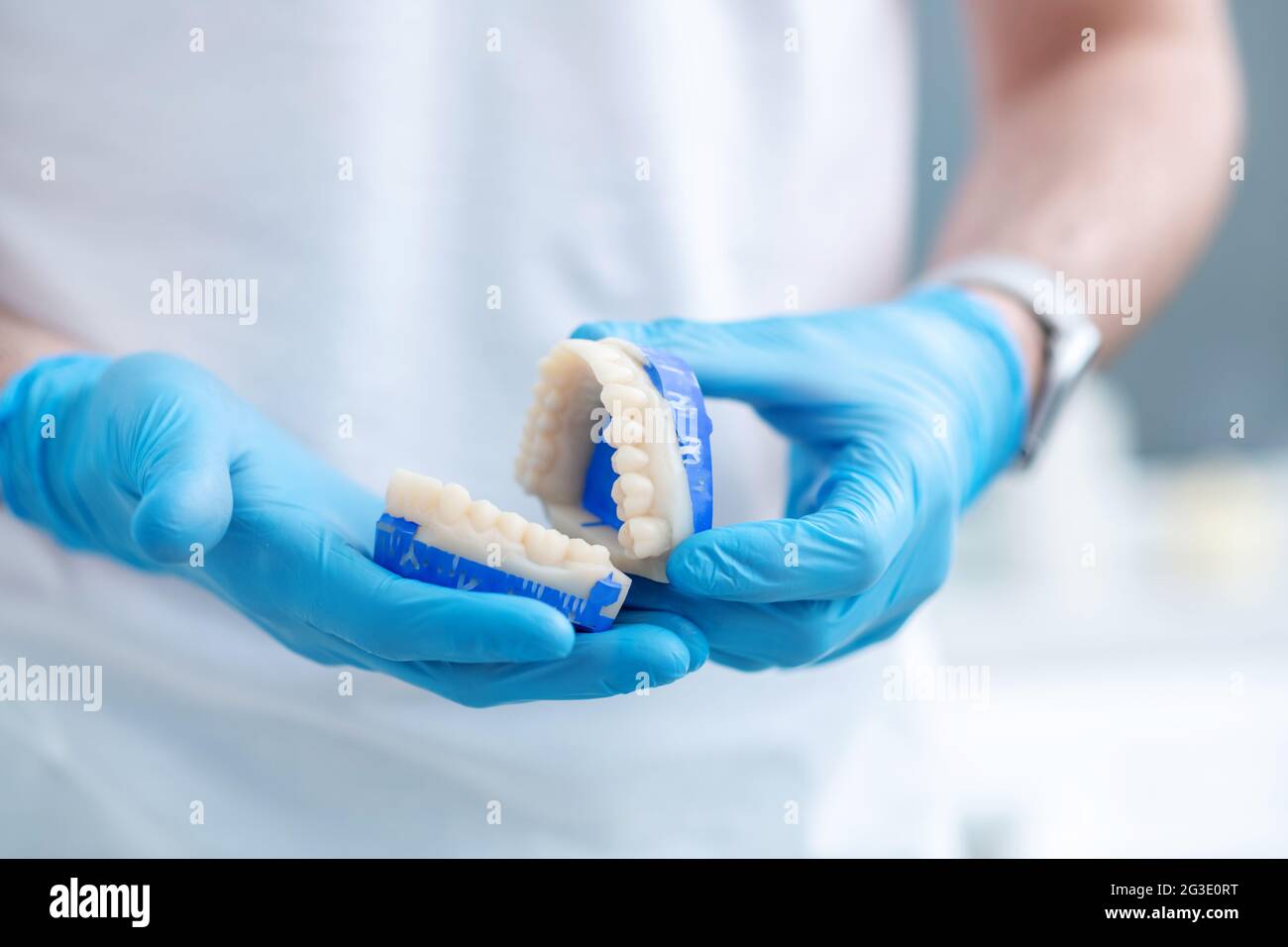 Close up pictire of doctors hands with a denture Stock Photo