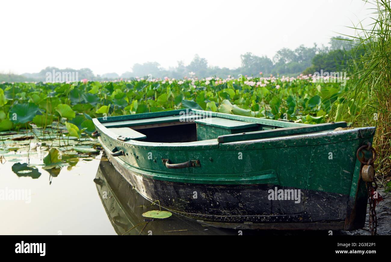 An empty boat in the bank of the river Stock Photo - Alamy