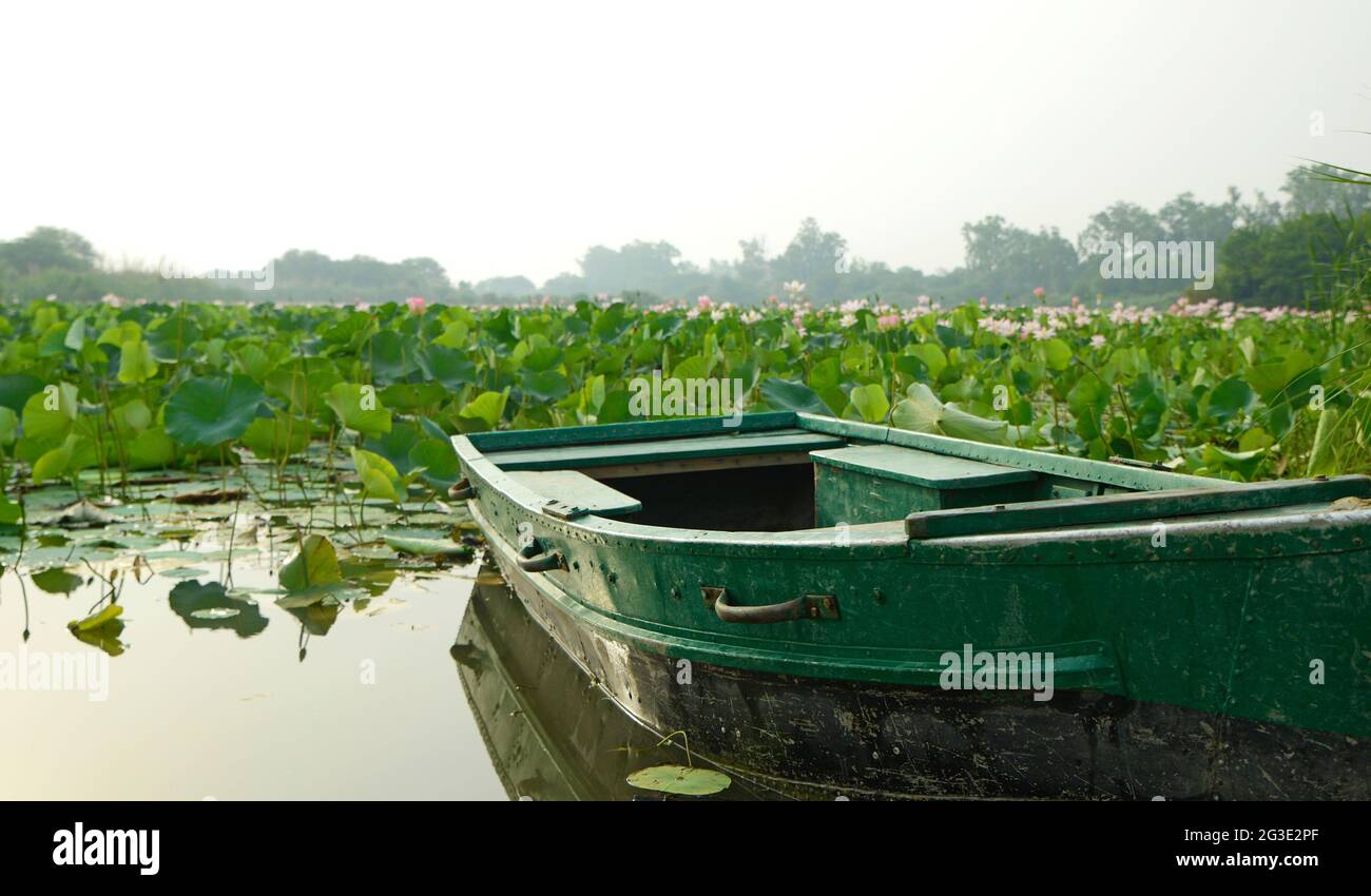 An empty boat in the bank of the river Stock Photo - Alamy