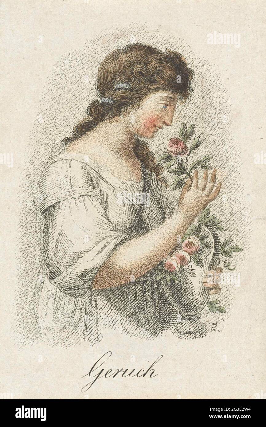 Smell; Geruch; Five senses presented by women's figures; That funfish sinne. A woman smells of the flower she picks up in her hand from the vase. Stock Photo
