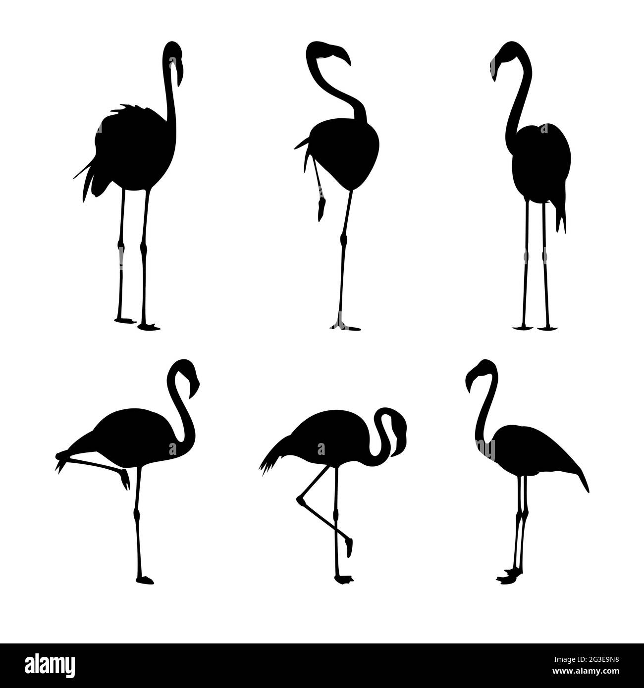 Flamingo black silhouettes set isolated on white vector illustration ...