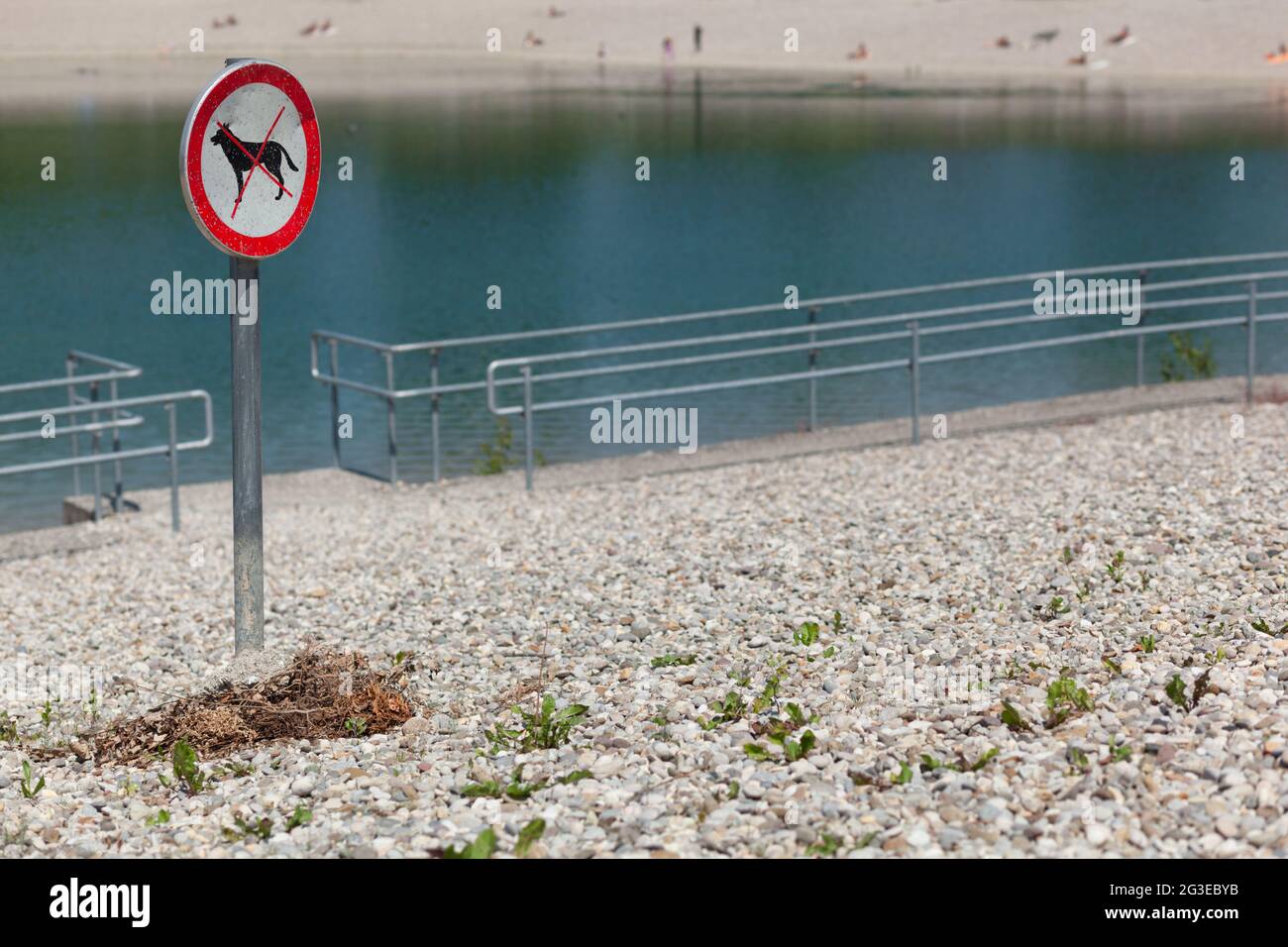 No dogs red and white sign on the pebble beach with metal banister by the water Stock Photo