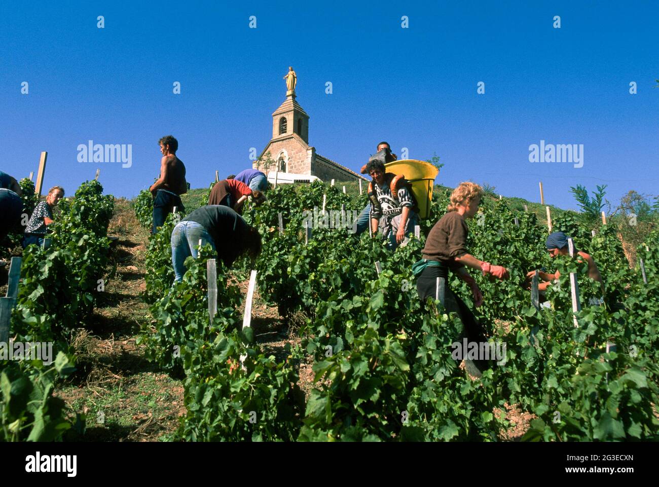 Fleurie france wine hires stock photography and images Alamy