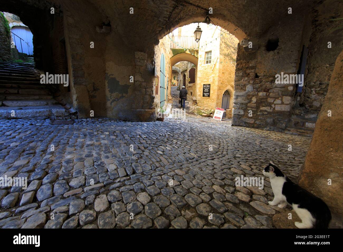 FRANCE. ARDECHE (07) SAINT MONTAN RUELLES ARCHED, A CAT WITH THE MOUNTING Stock Photo