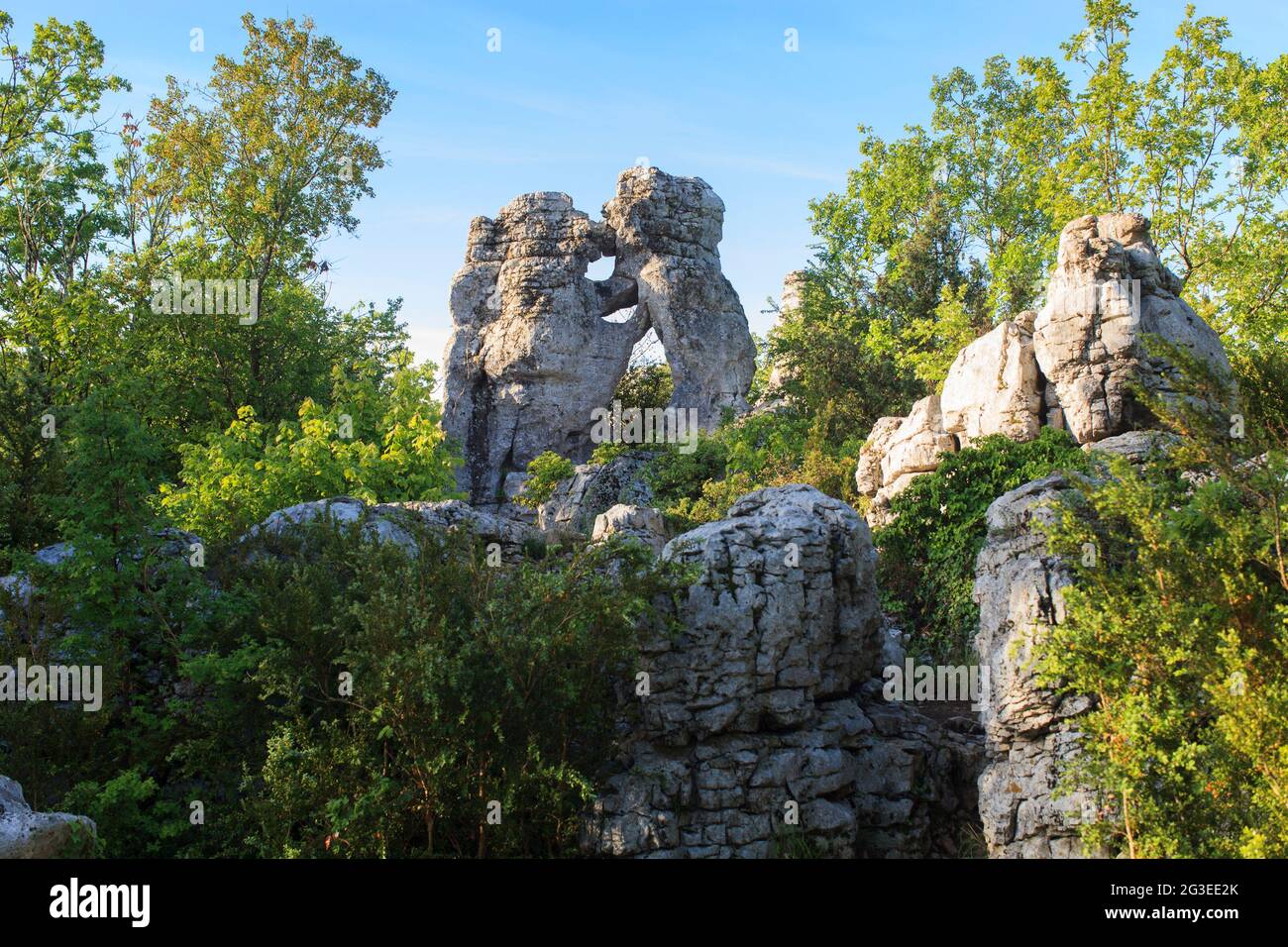 FRANCE. ARDECHE (07) LES VANS BOIS DE PAIOLIVE ROCHER DE L'OURS ET DU LION  (ROCK OF THE BEAR AND THE LION) LIMESTONE KARSTIC Stock Photo - Alamy