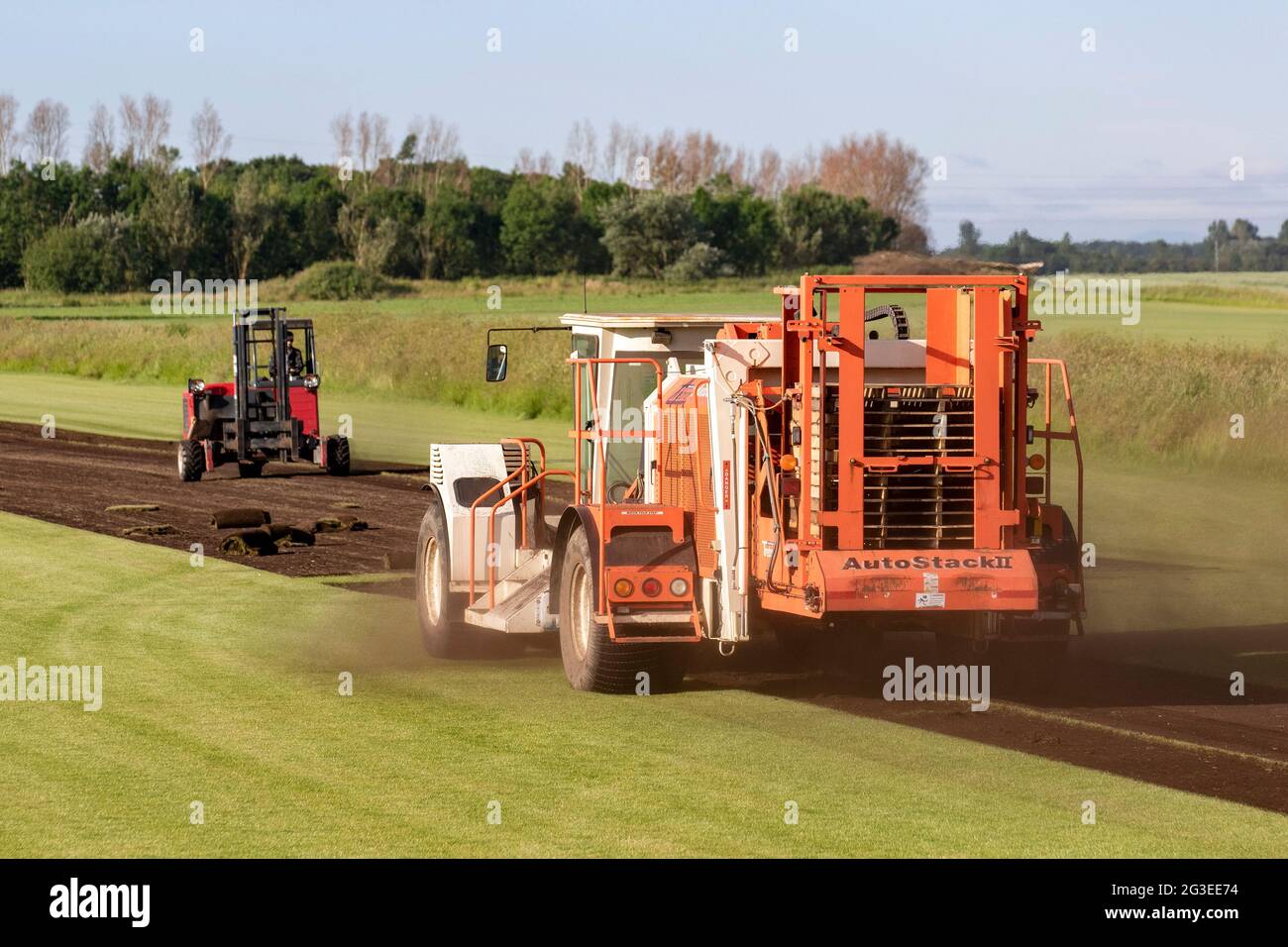 Tarleton, Lancashire.  UK Weather 16 June, 2021.  Dry dusty sunny conditions for farmers harvesting commercially grown turf with an Trebro AutoStack II cutting machine. AutoStackers are the first choice in the world of automatic turf producers, to satisfy demand from local builders who regularly need turf for new housing estates where lawns are used around houses, apartments, commercial buildings and sports facilities .  Credit; MediaWorldImages/AlamyLiveNews Stock Photo