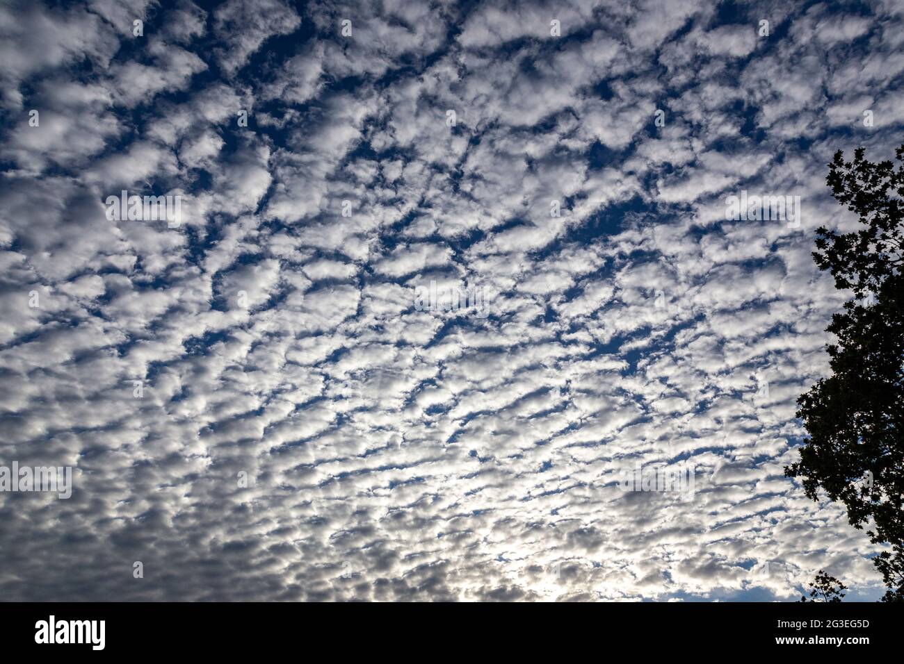 mackerel sky, clouds, weather, blue, daylight, morning, sunrise