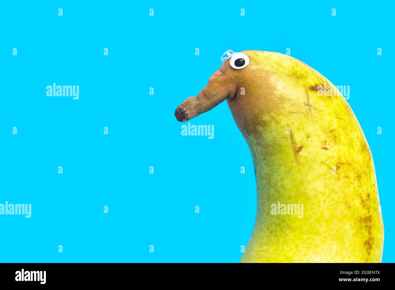 Close-up of a cute pear character with a big nose and googly eyes isolated on blue background. Stock Photo