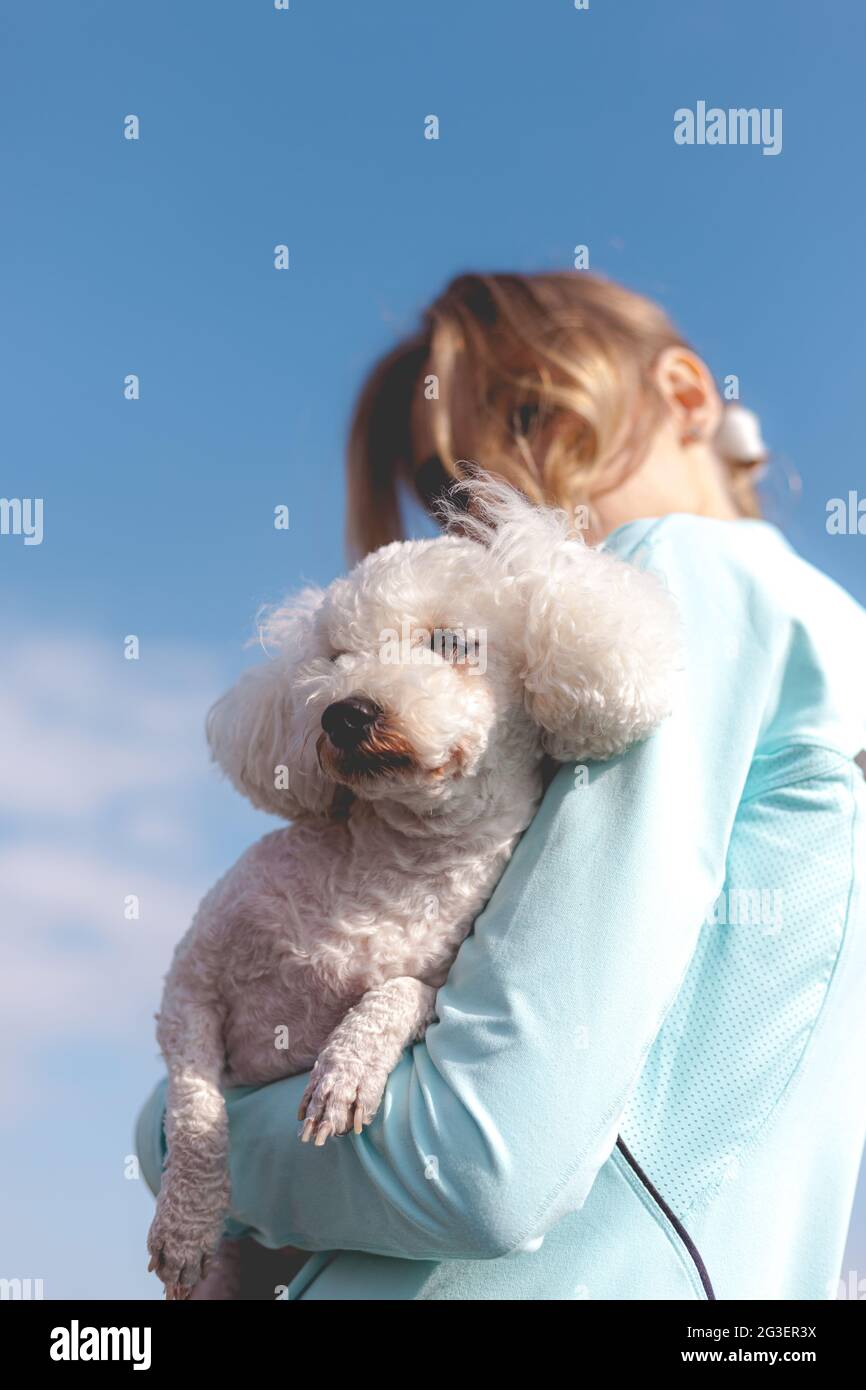 A very little dog wearing a costume Stock Photo