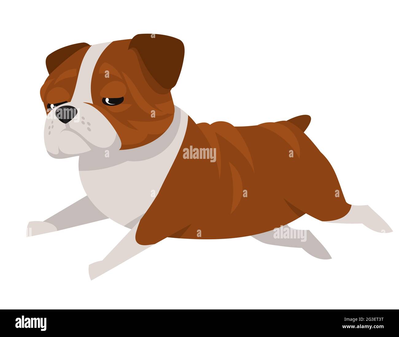 Running English bulldog. Beautiful pet in cartoon style. Stock Vector