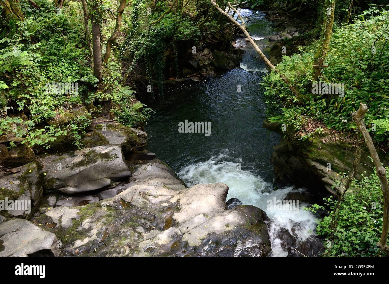 Clydach River running through Clydach at Gilwern Brecon Beacons
