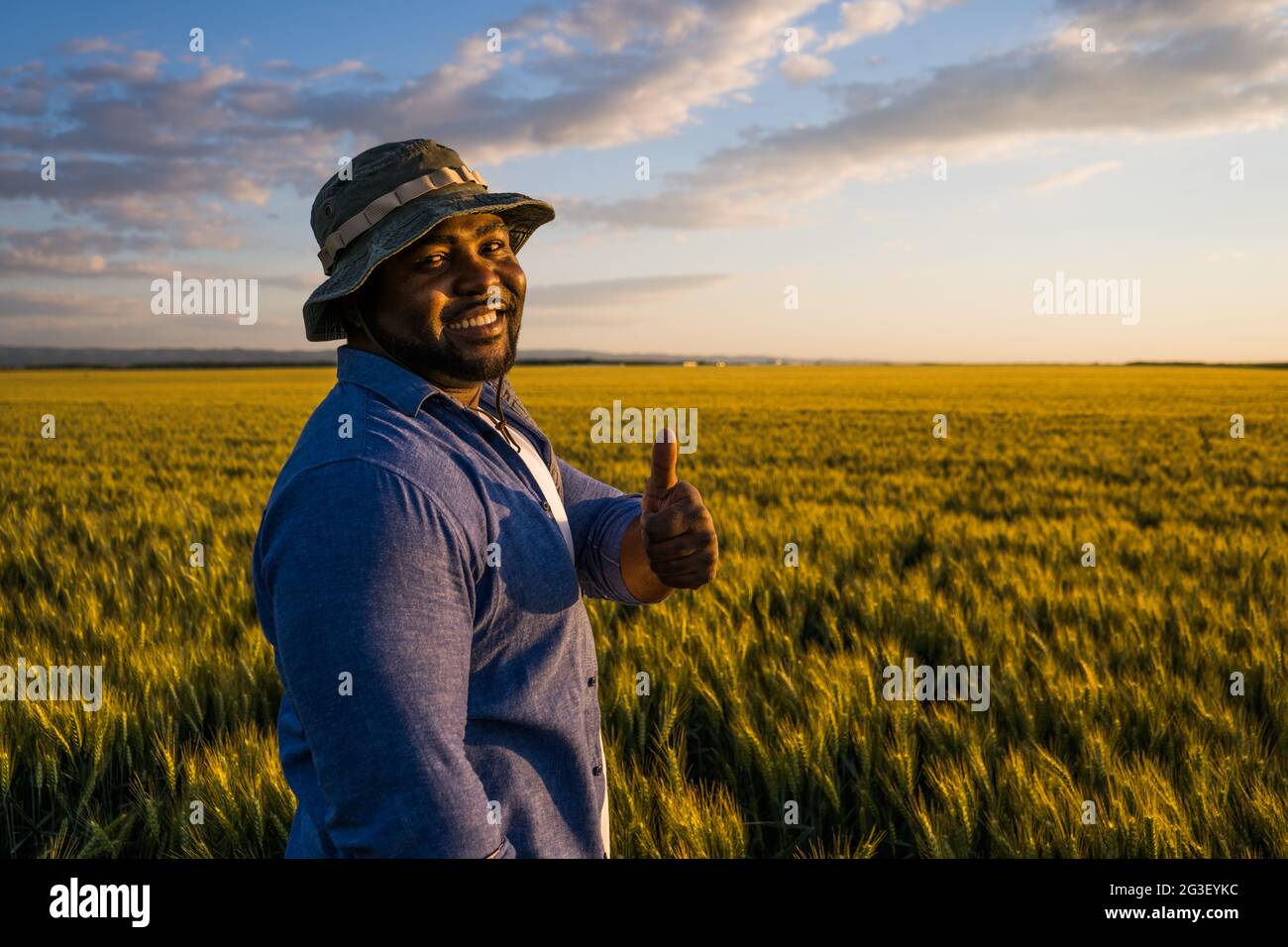 Farmer is standing in his growing wheat field. He is satisfied after ...
