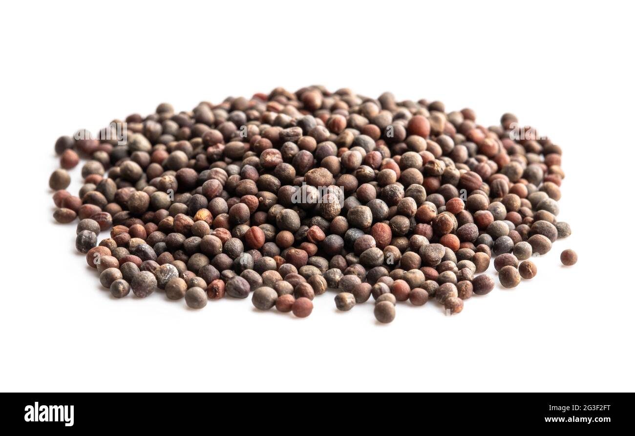 Pile of radish seeds isolated on white ready to plant Stock Photo Alamy