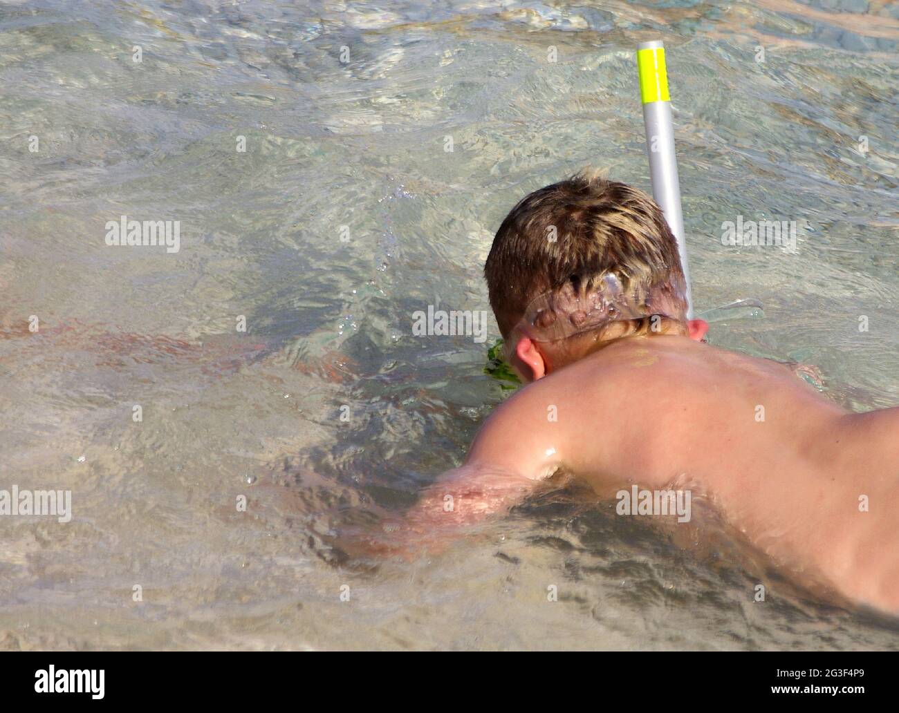 Snorkeling boy Stock Photo