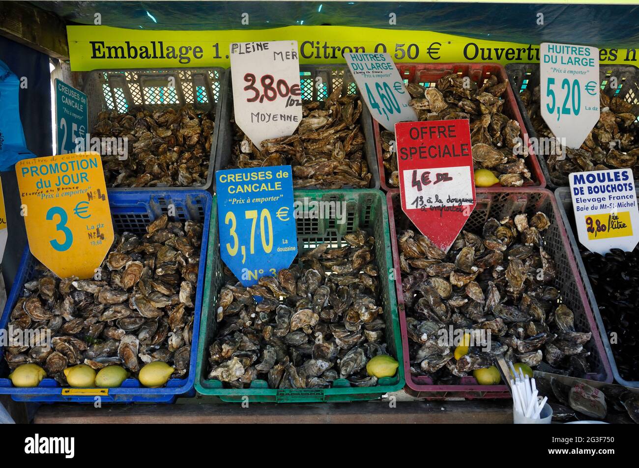 FRANCE. ILE ET VILAINE (35) CANCALE COTE D'EMERAUDE OYSTER SELLING (PICTURE NOT AVAILABLE FOR CALENDARS OR POSTCARDS IN FRANCE) Stock Photo