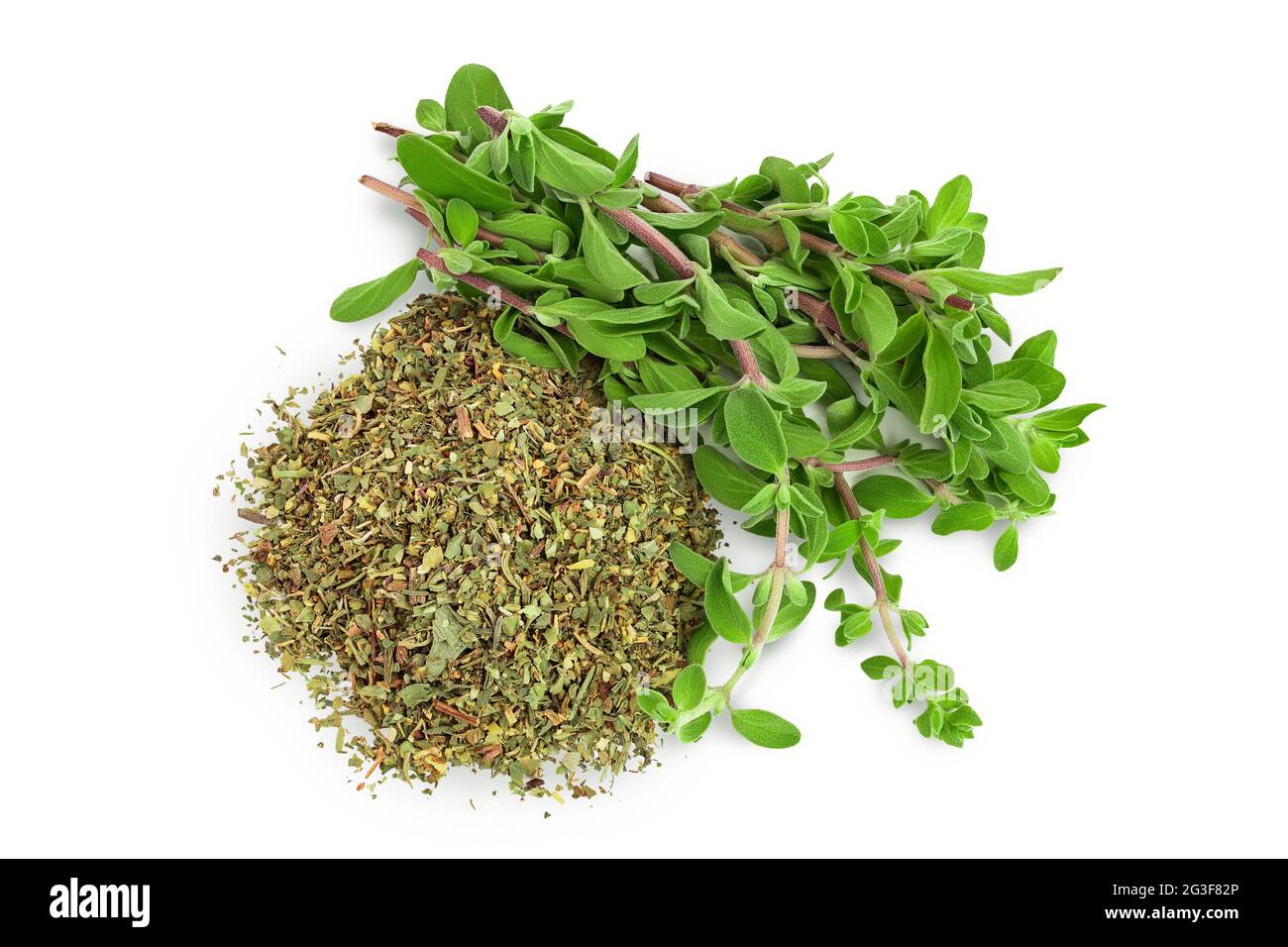 Oregano or marjoram leaves fresh and dry isolated on white background with clipping path. Top