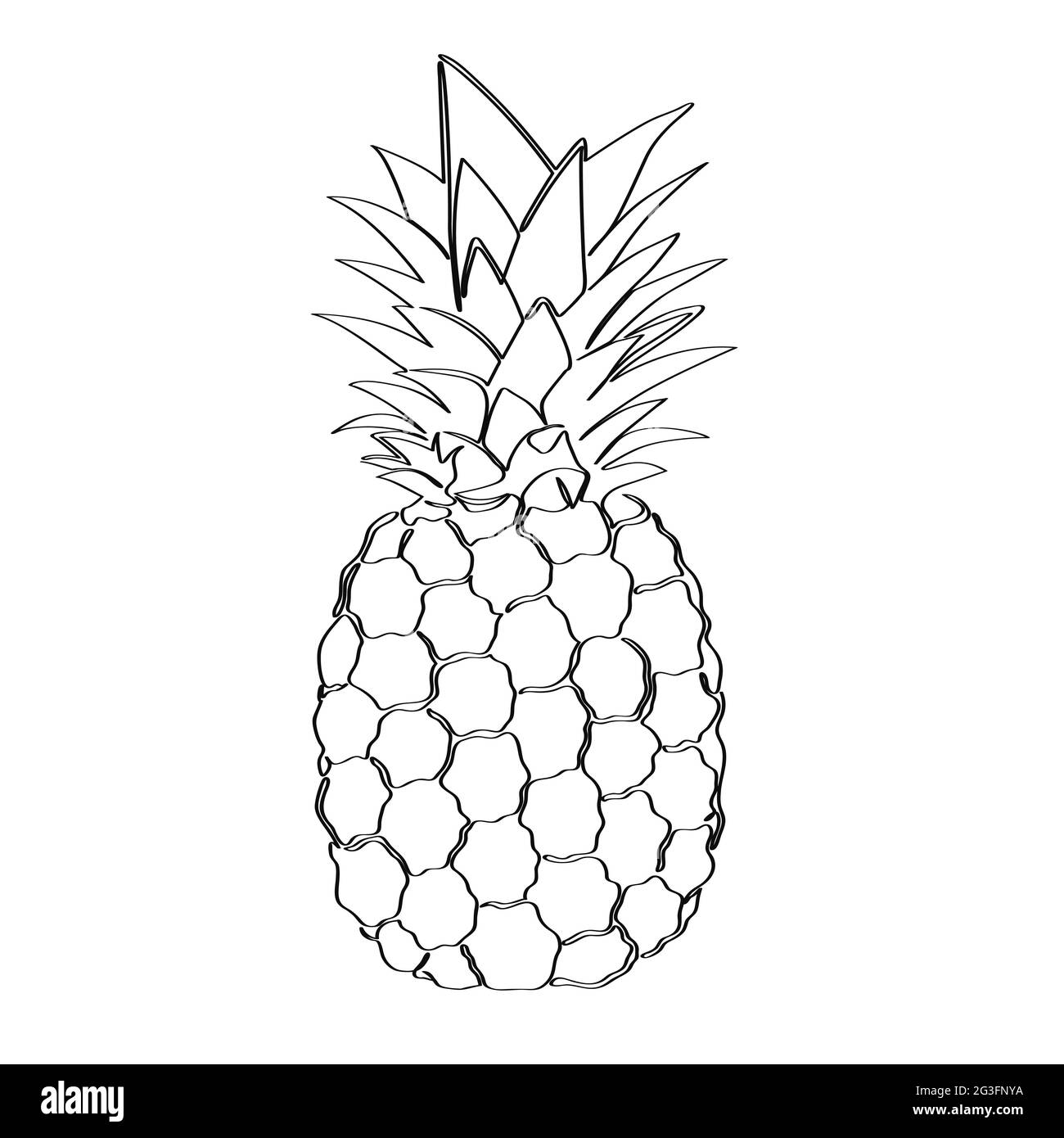 Pineapple drawn with one continuous line. Isolated stock vector illustration. Stock Vector