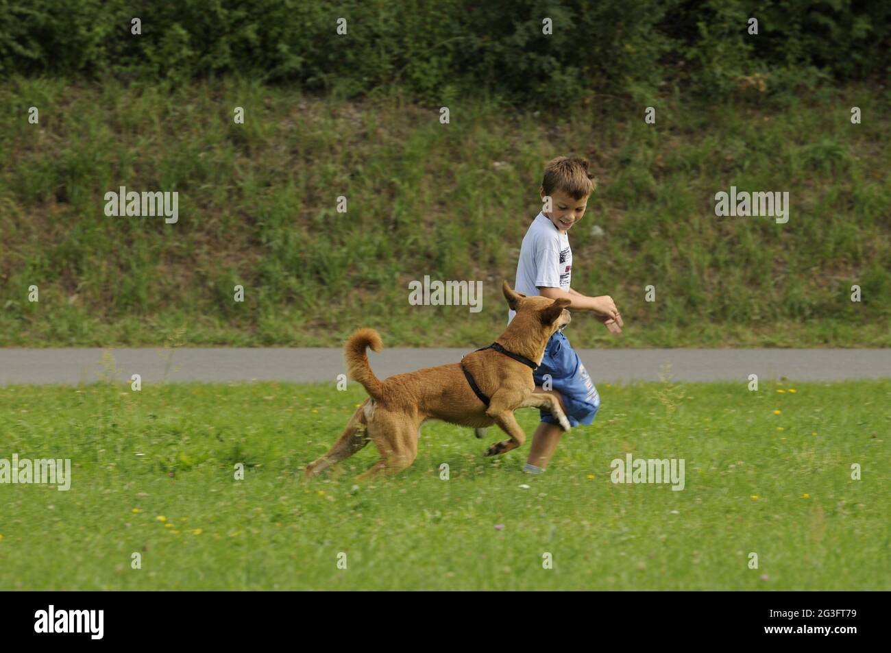Child with dog Stock Photo