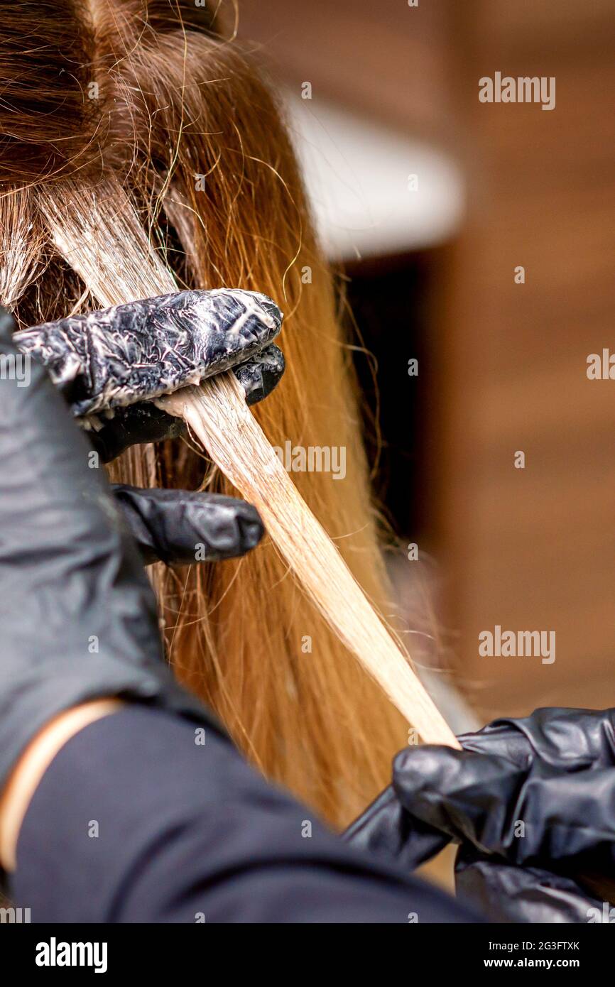 Closeup back view of hairdresser's hands in gloves applying dye to a