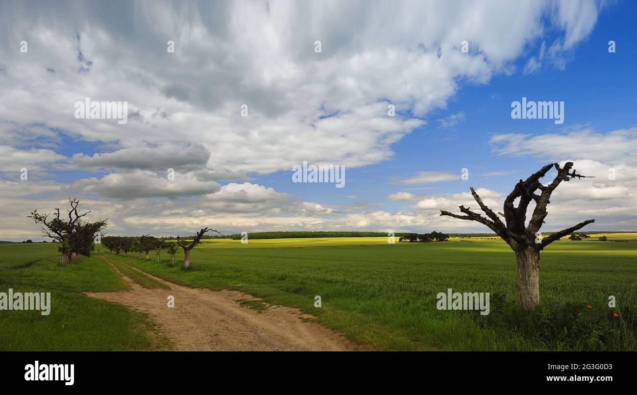 Summer in Thale Bodetal Harz Stock Photo